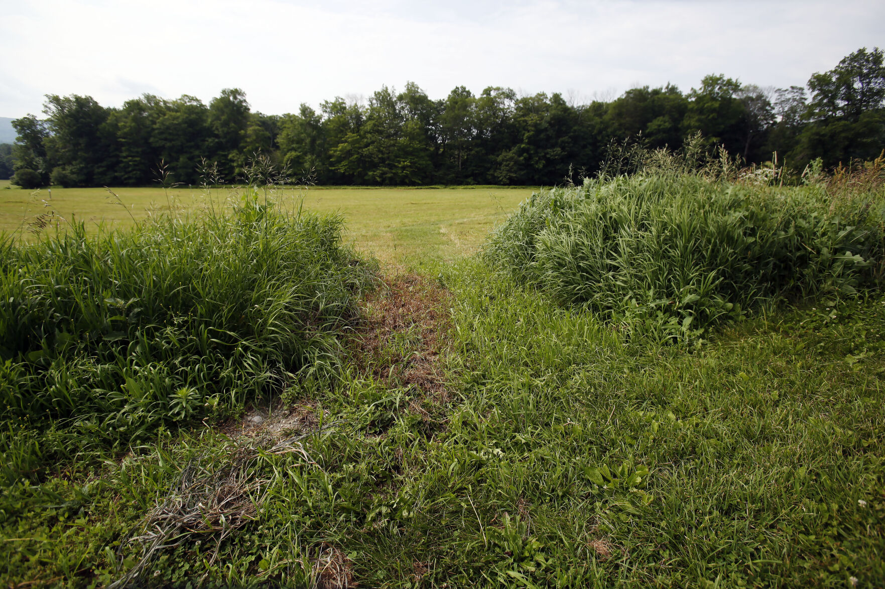 HOLLOWFIELDS